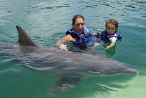 swim with dolphins