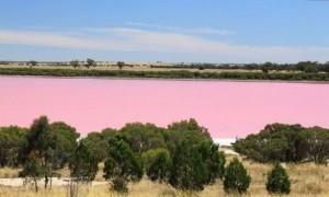 Retba Lake