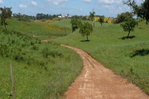 holiday in Alentejo