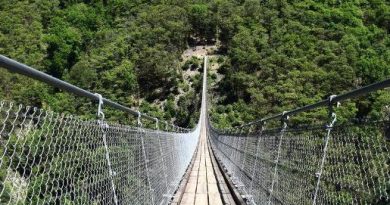 tibetan bridge